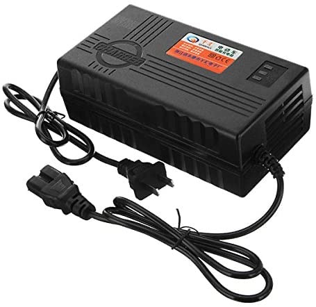 Cargador Eléctrico 48V 20AH RP