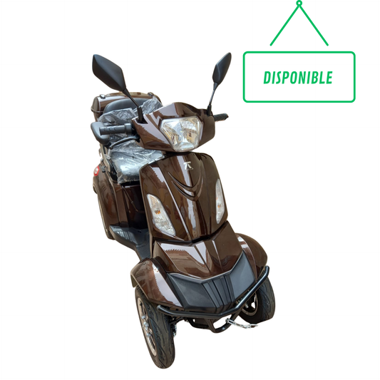 SEMI NUEVO Scooter Eléctrico TEKUON Faster xtrem Marrón