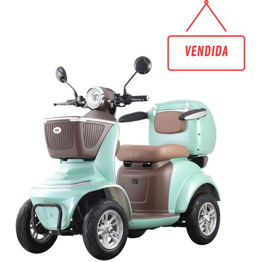 SEMI NUEVO Scooter Eléctrica EcoMobility Xpress
